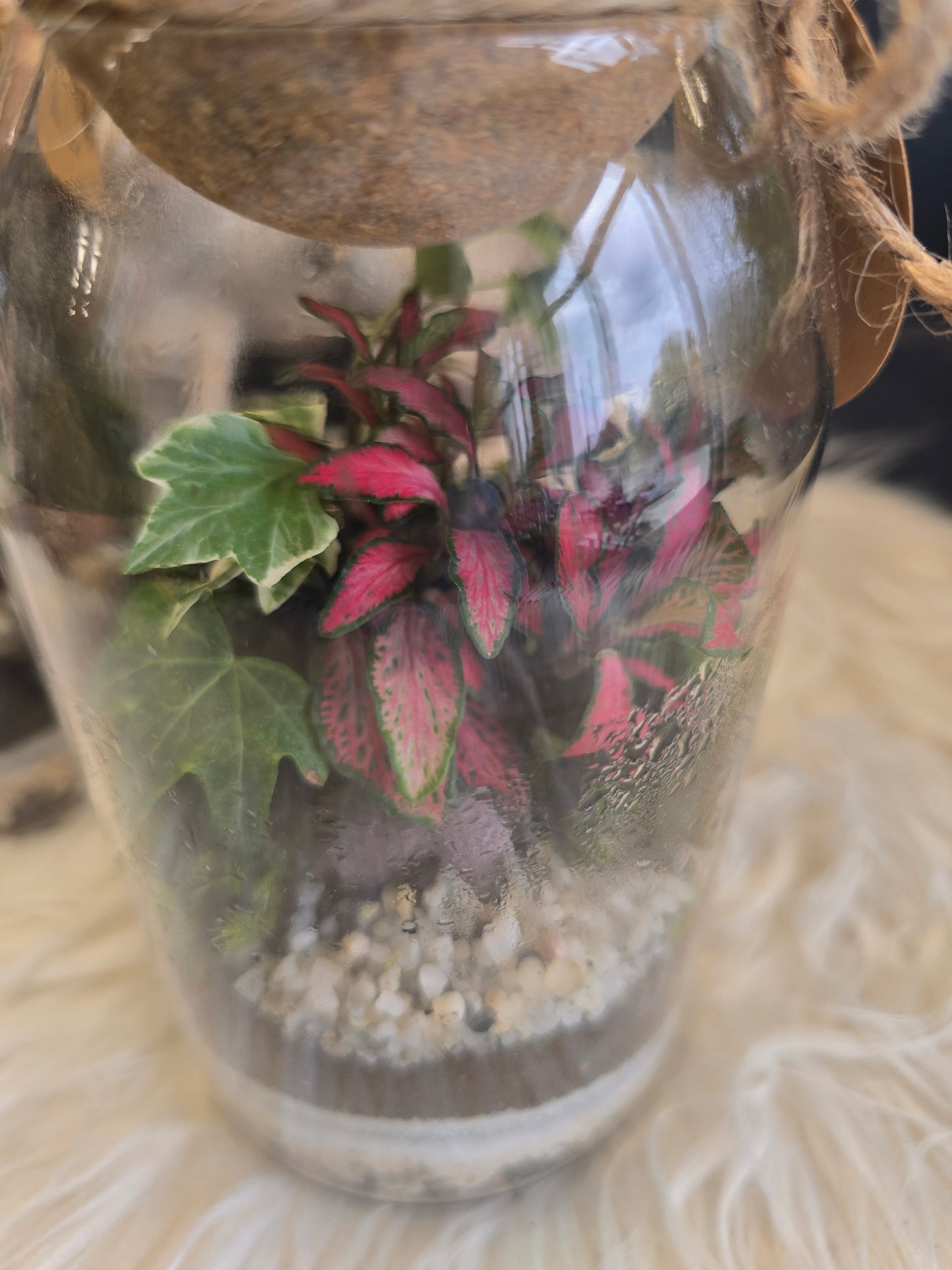Живот в бутилка