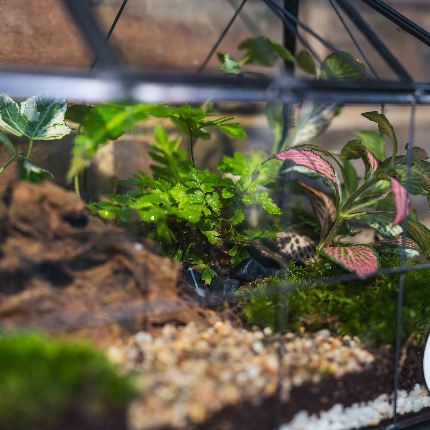 Геометрична къща терариум с фея