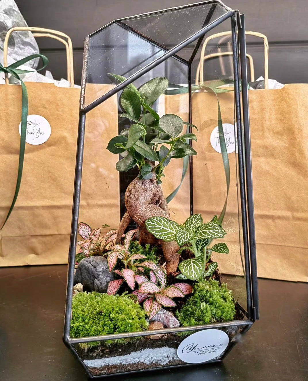 Триъгълен висок Терариум