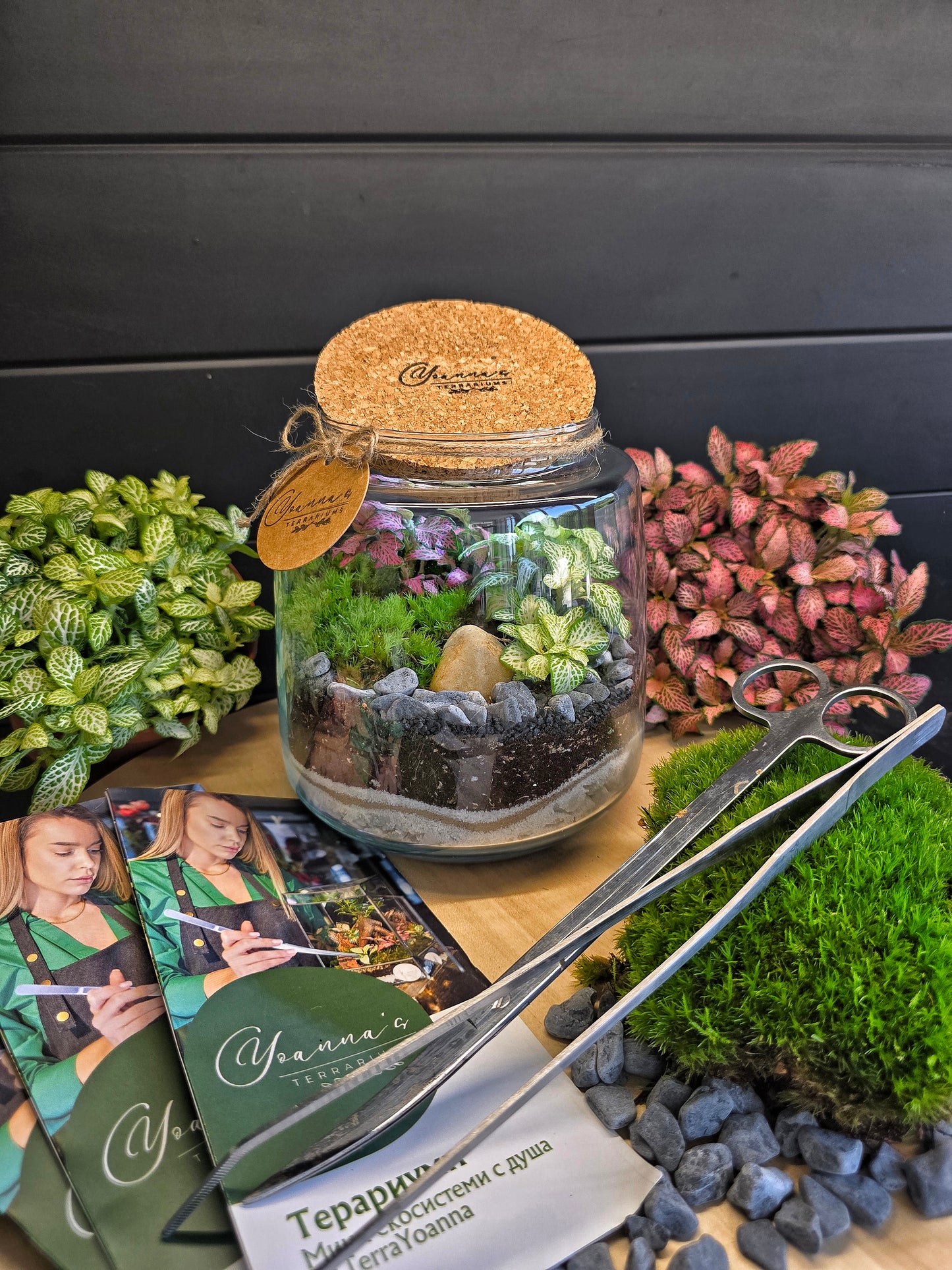 Терариум Мини Фантазия