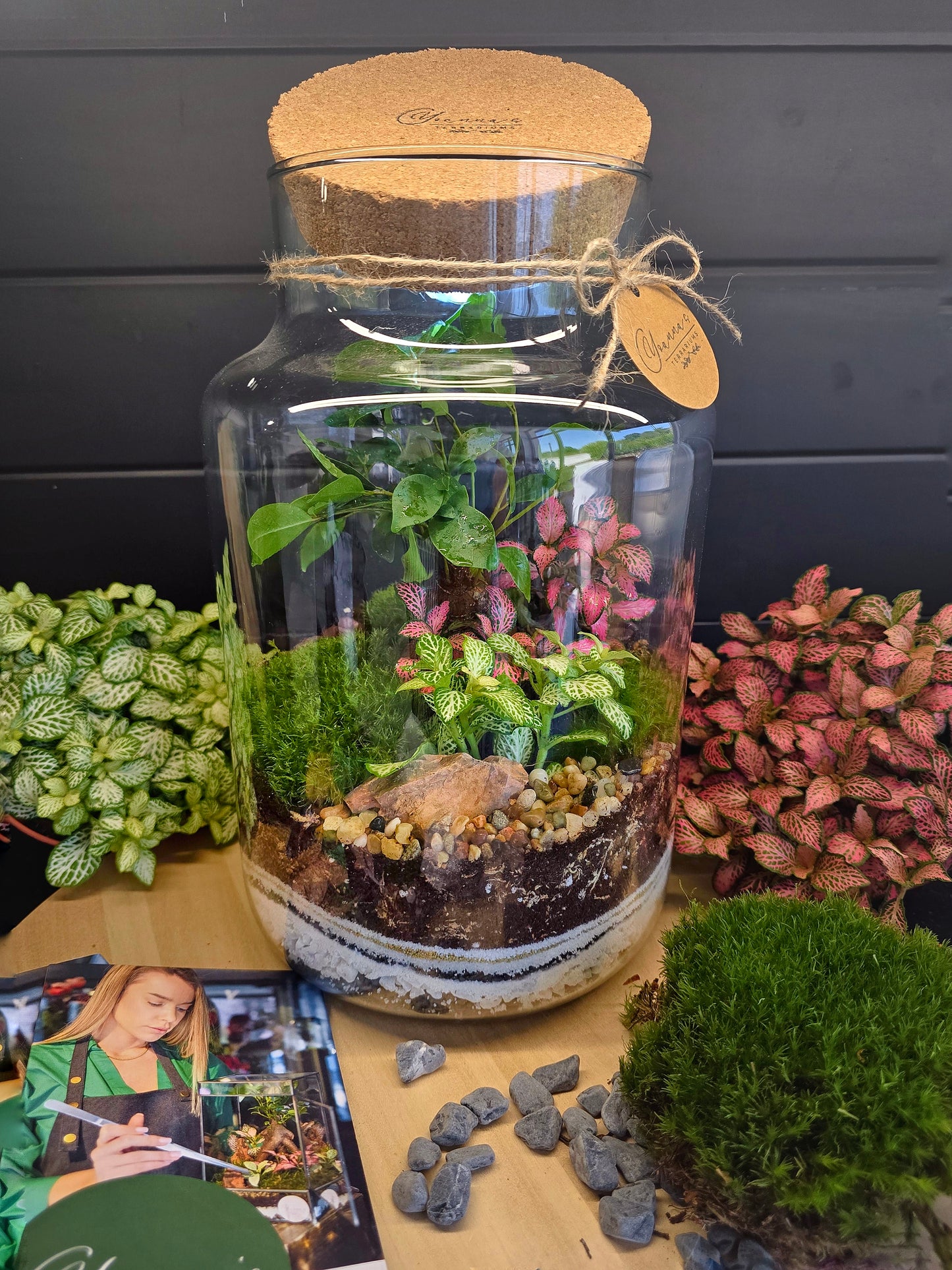 Терариум Фантазия