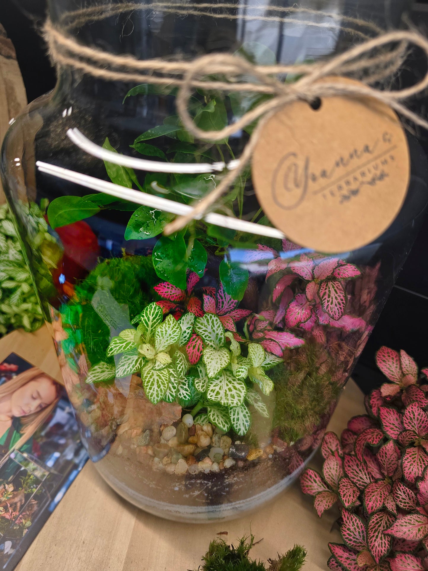 Терариум Фантазия