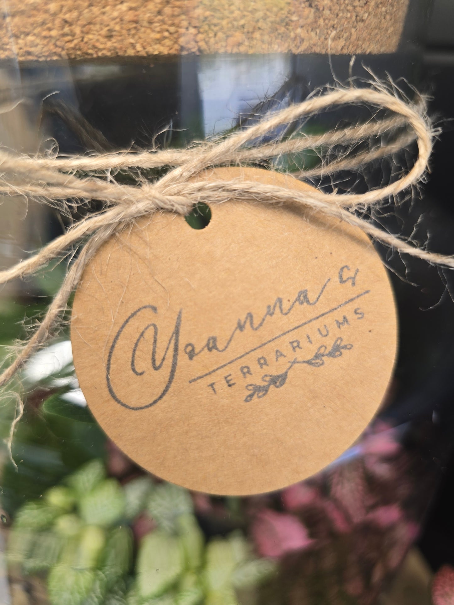 Терариум Мини Фантазия