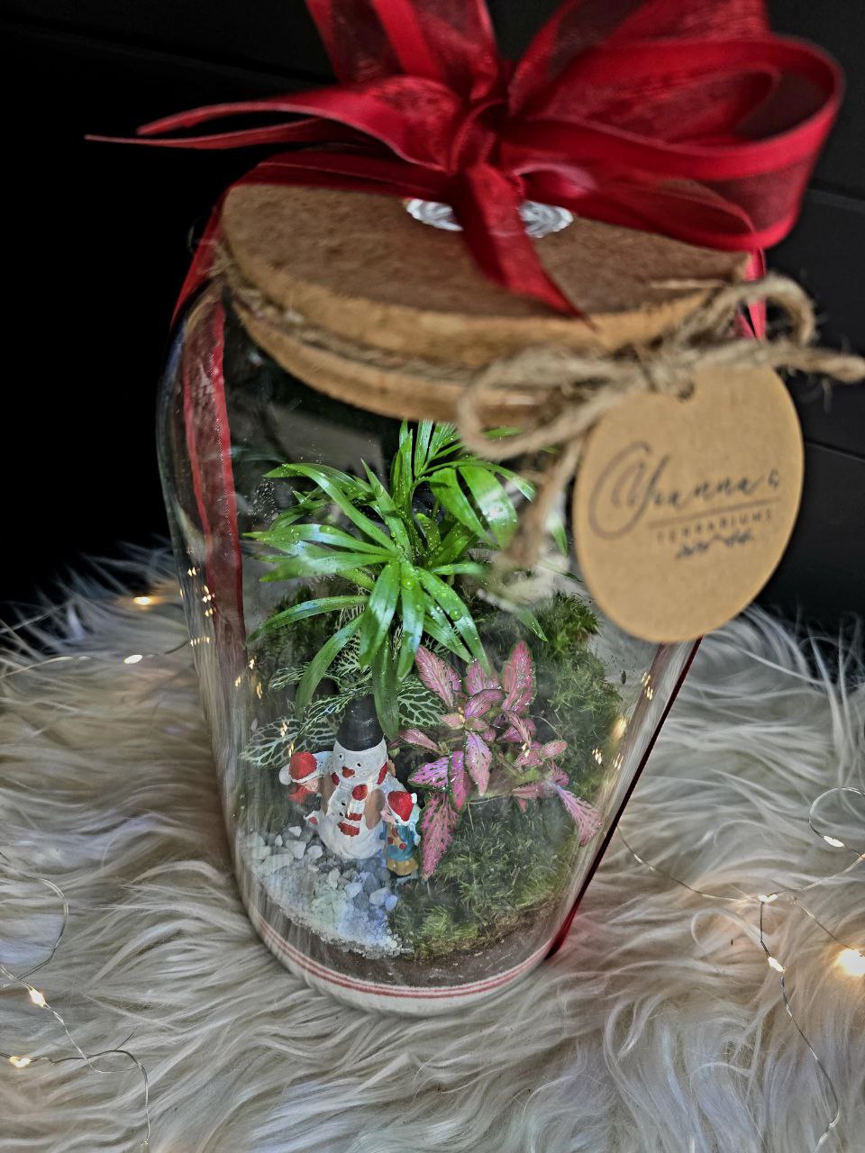 Коледен Терариум Зеленика с лед светлина