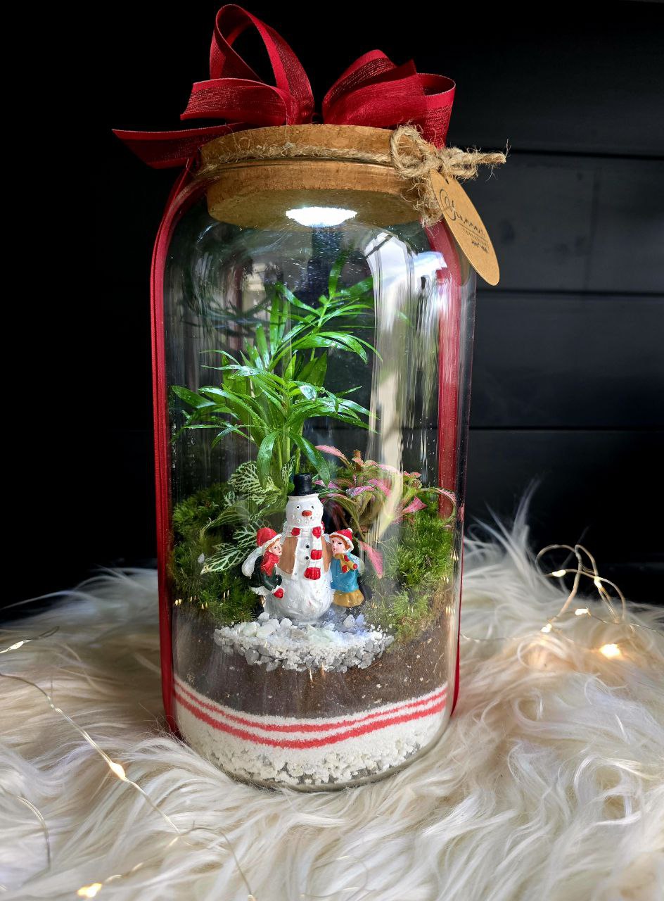 Коледен Терариум Зеленика с лед светлина