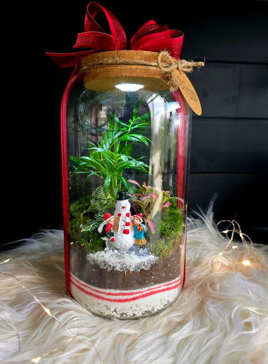 Коледен Терариум Зеленика с лед светлина