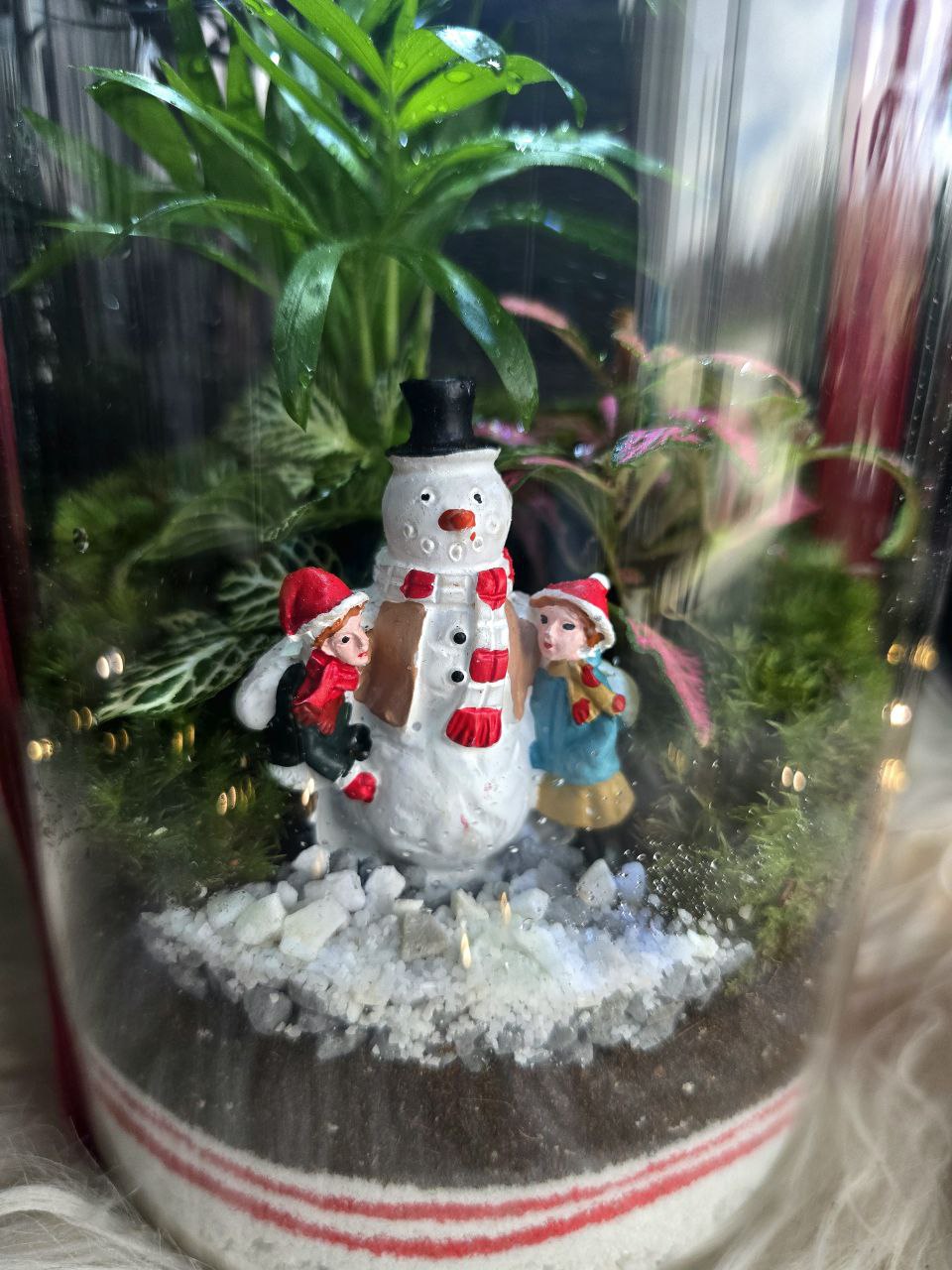 Коледен Терариум Зеленика с лед светлина