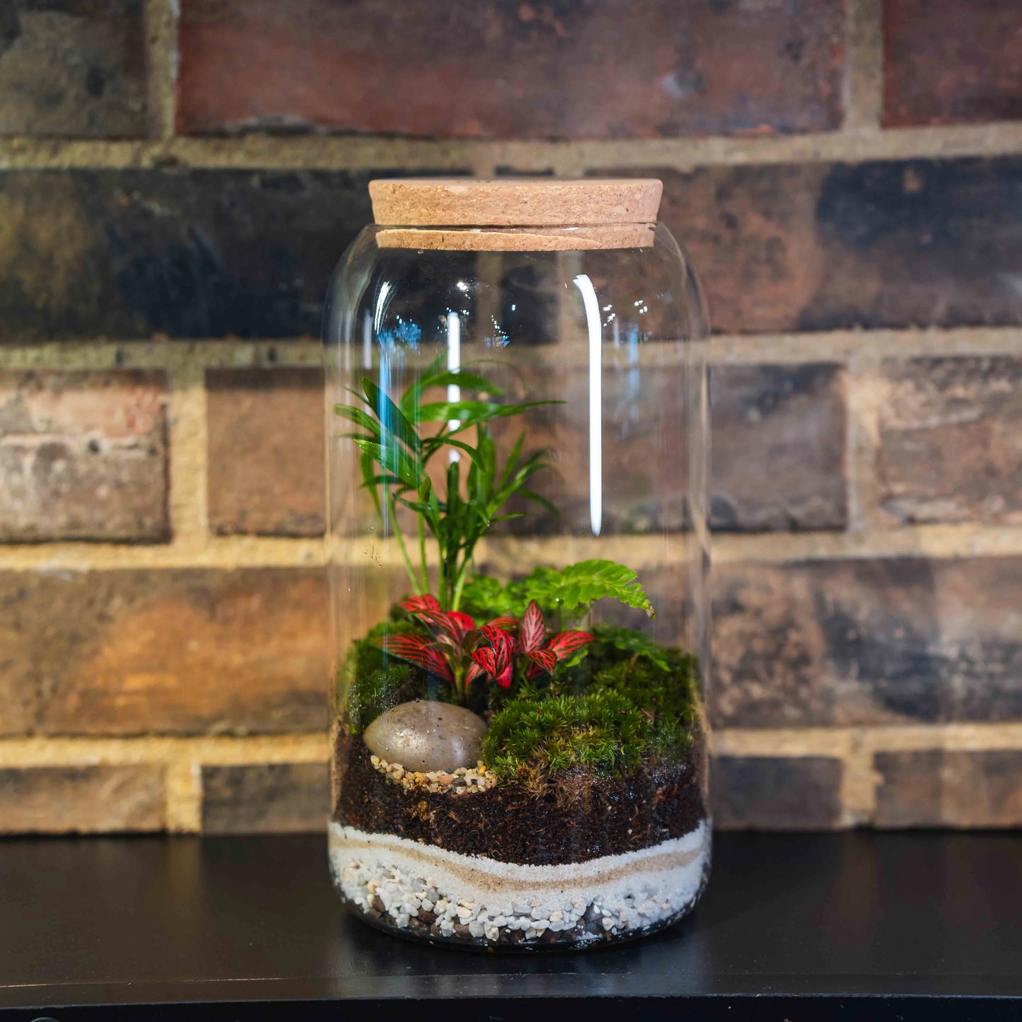 Терариум Зеленика с лед светлина.