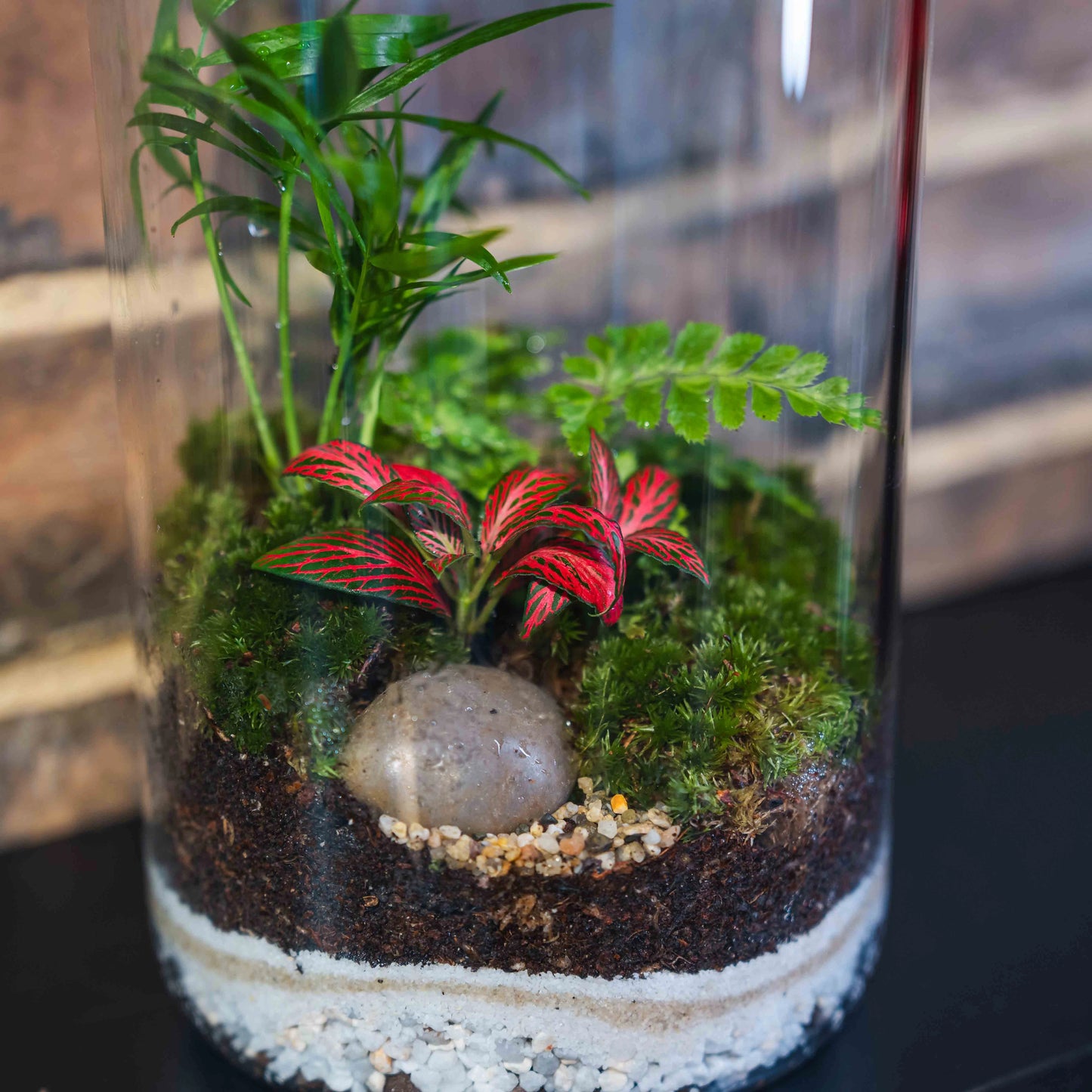 Терариум Зеленика с лед светлина.