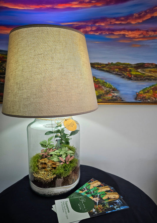 Терариум "Светъл кът"